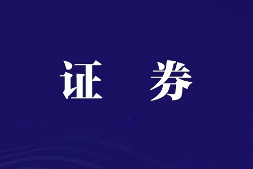 2024年以来证监会累计查办财务造假案件159起